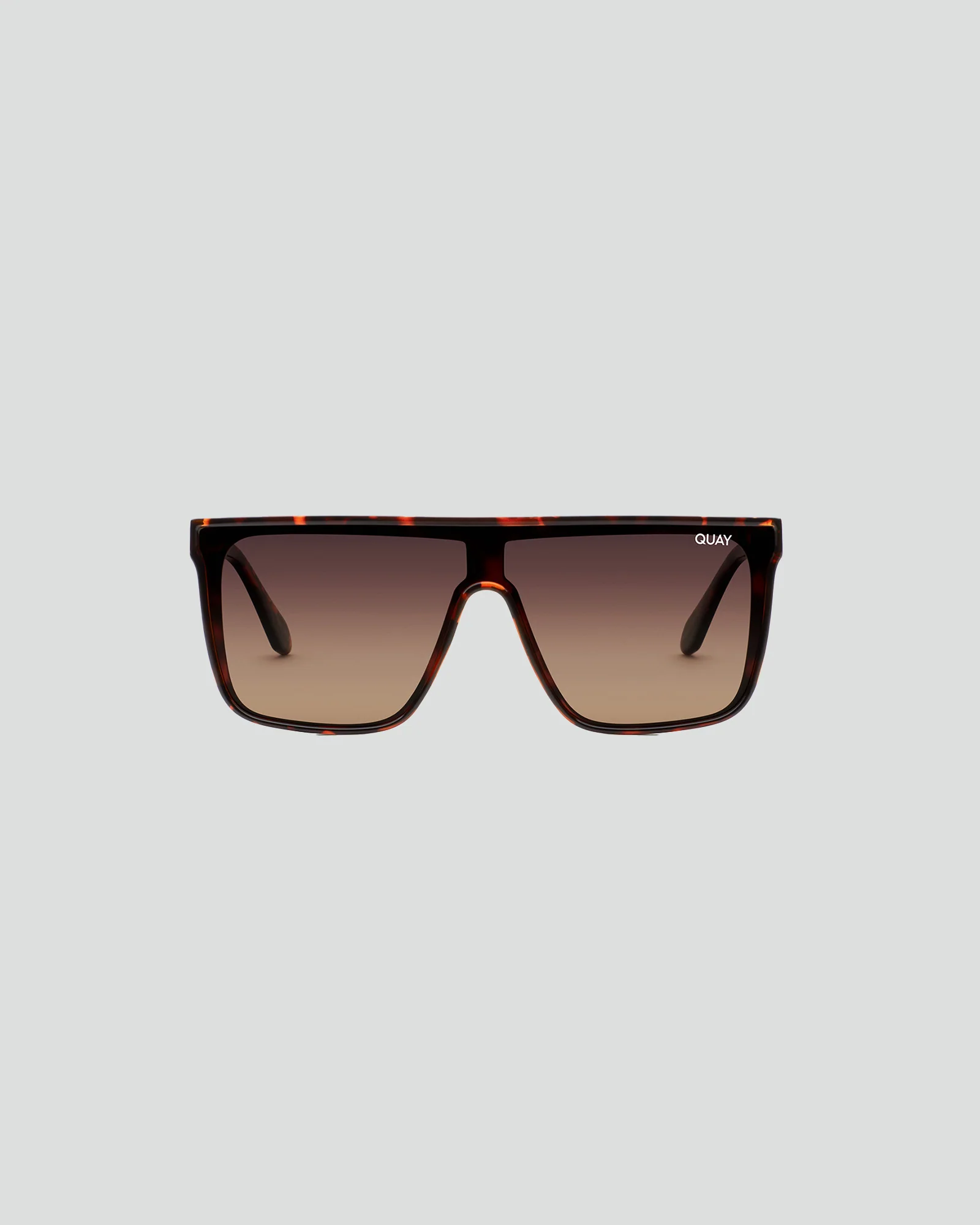 Nightfall Medium Tortoise